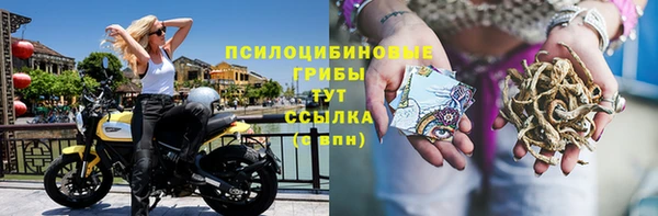 apvp Белоозёрский