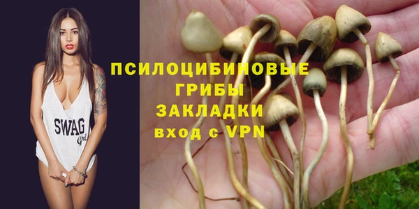 амфетамин Белокуриха